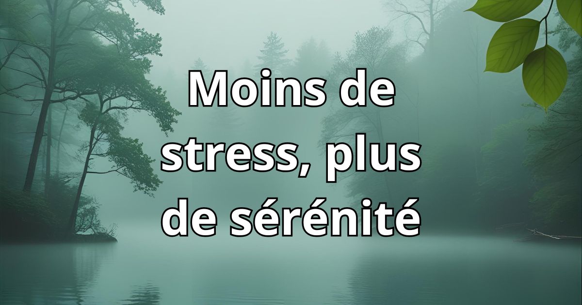 Image apaisante de nature brumeuse avec le texte “Moins de stress, plus de sérénité” illustrant des méthodes naturelles contre le stress.