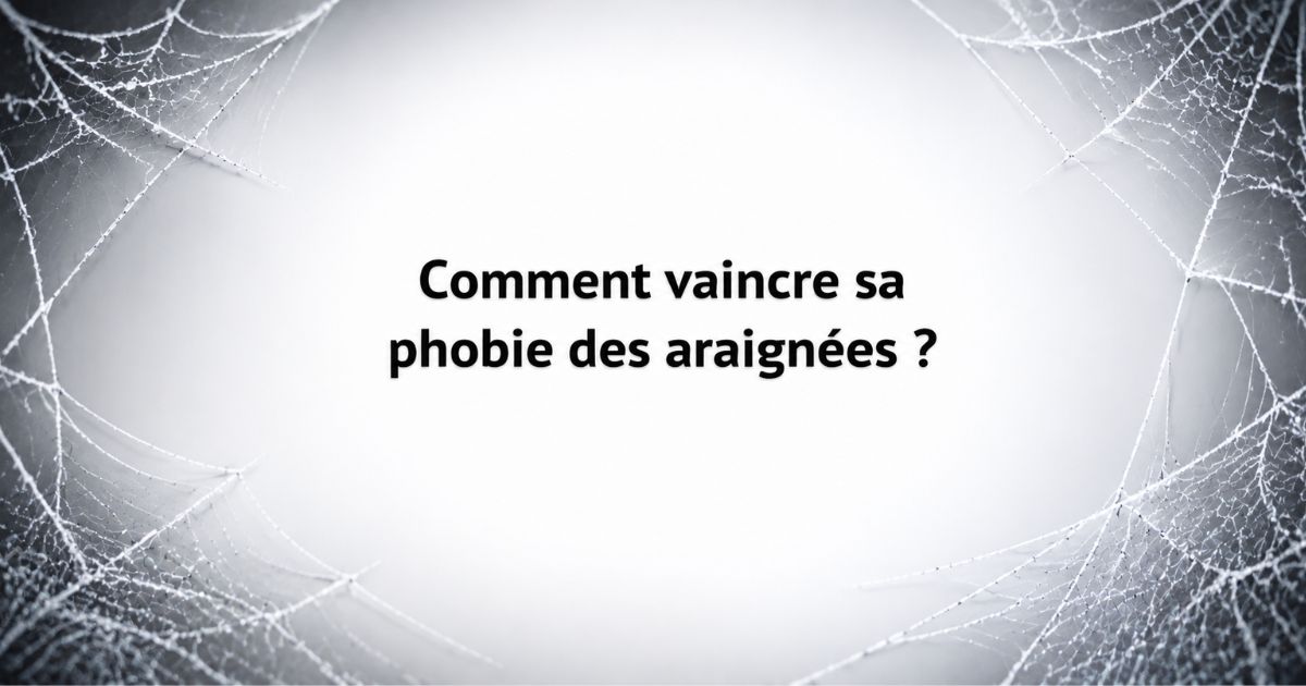 Comment vaincre sa phobie des araignées avec des méthodes adaptées